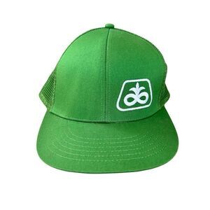 Vintage Pioneer Seed Green Trucker Hat Snapback Unisex Adjustable k-products